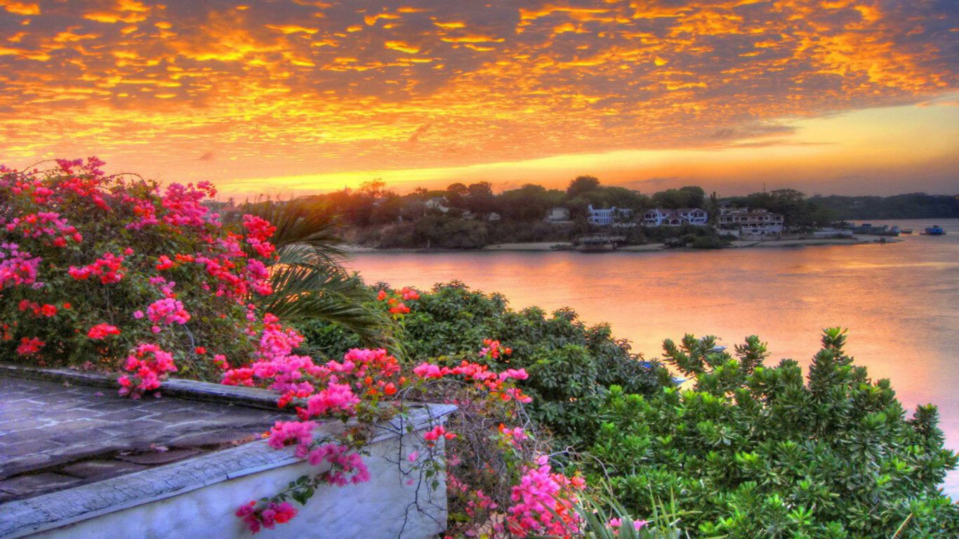 1366x768 Sunrise Lake Countryside Beautiful Sky With Orange Clouds Beautiful Pink Flowers Green Trees Summer Wallpaper Hd 1920x1200