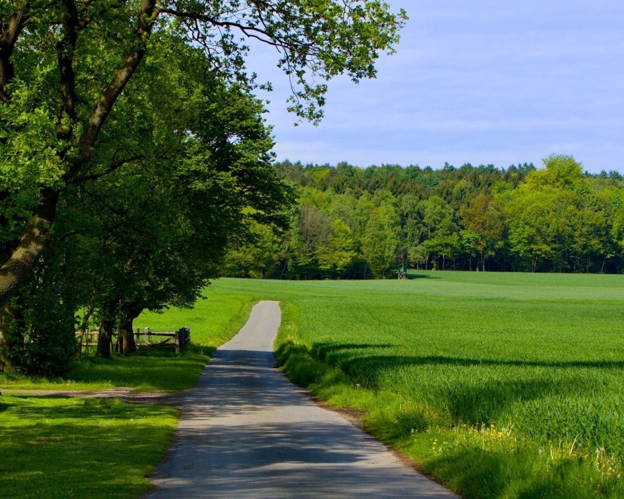 1280x1024 Free Download Countryside Road On A Summer Day Desktop Wallpaper 29485 1920x1080 For Your Desktop Mobile Tablet Explore A Summer Day Wallpaper A Summer Day Wallpaper Wallpaper A