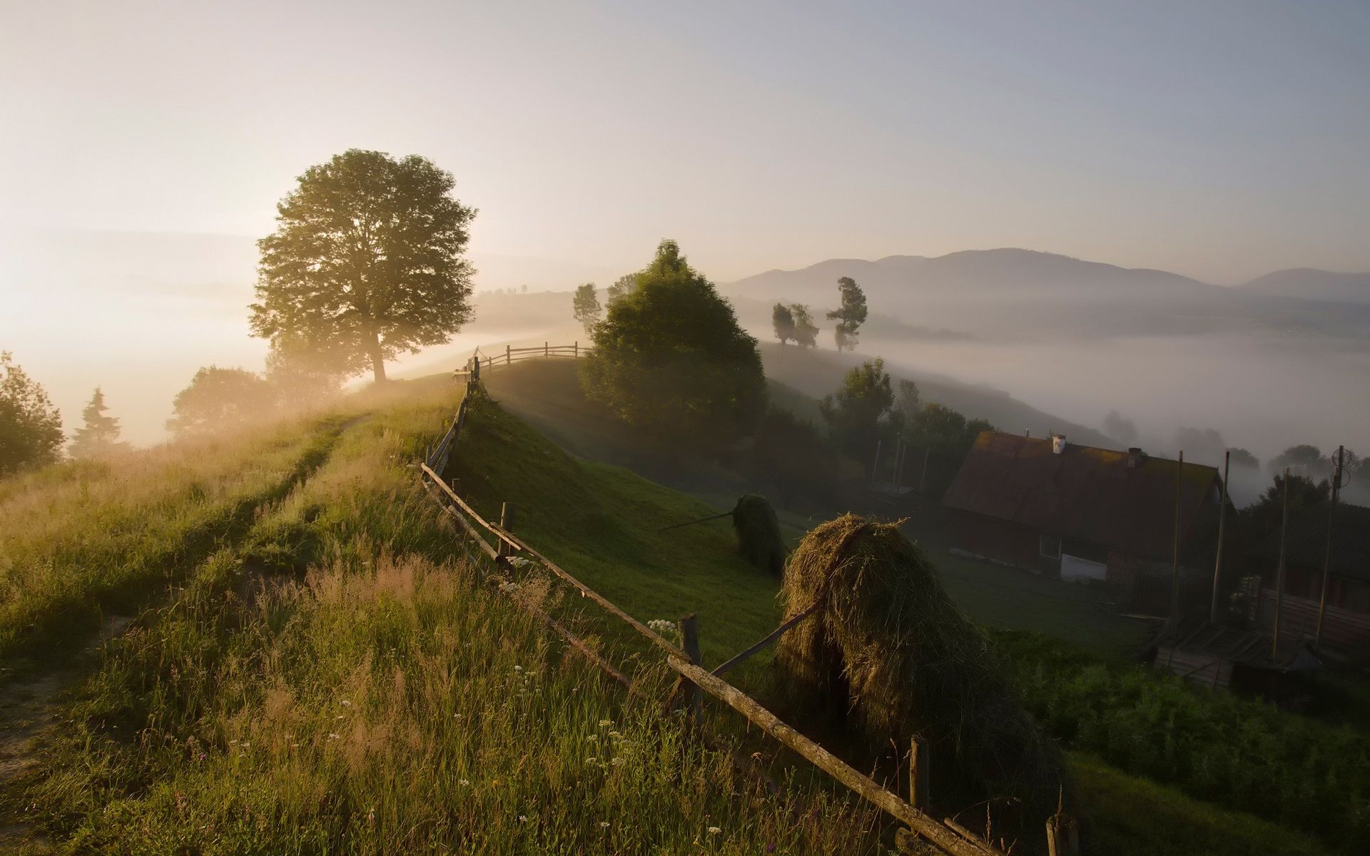 1920x1200 Wallpaper Carpathian Mountains Trees Countryside Morning Fog Summer 1920x1200 Hd Picture Image