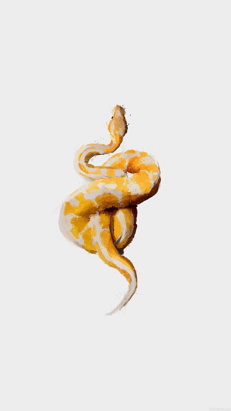 750x1334 Snake Illust Minimal Art By Garillu Wallpaper Hd Iphone