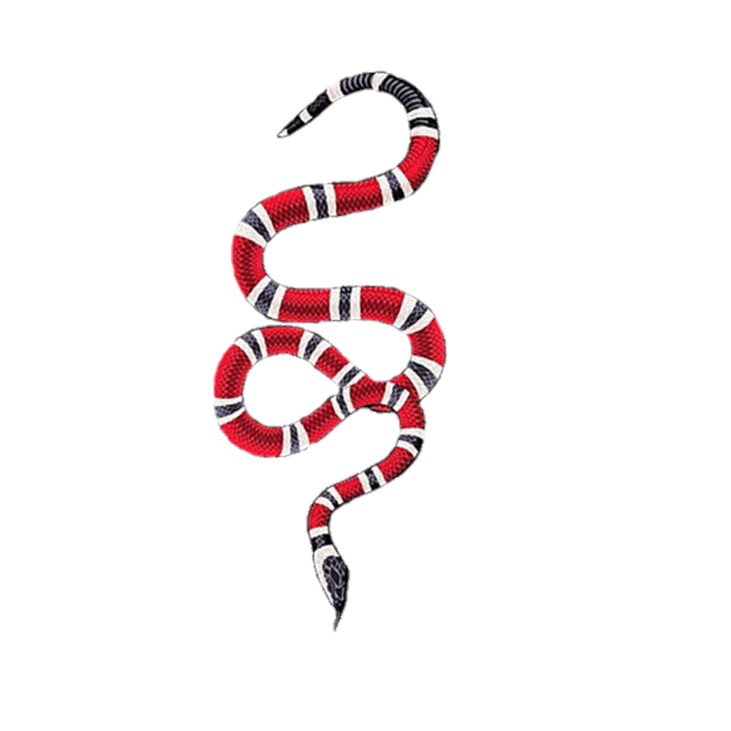 1024x1024 Gucci King Snake Wallpaper