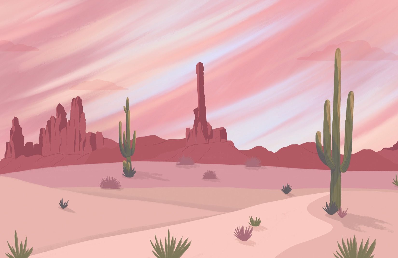 1650x1070 Cactus Desert Wallpaper Wild West Design