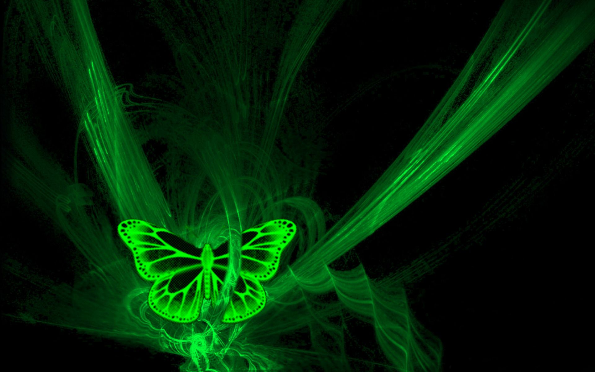 1920x1200 Green Lights Butterfly