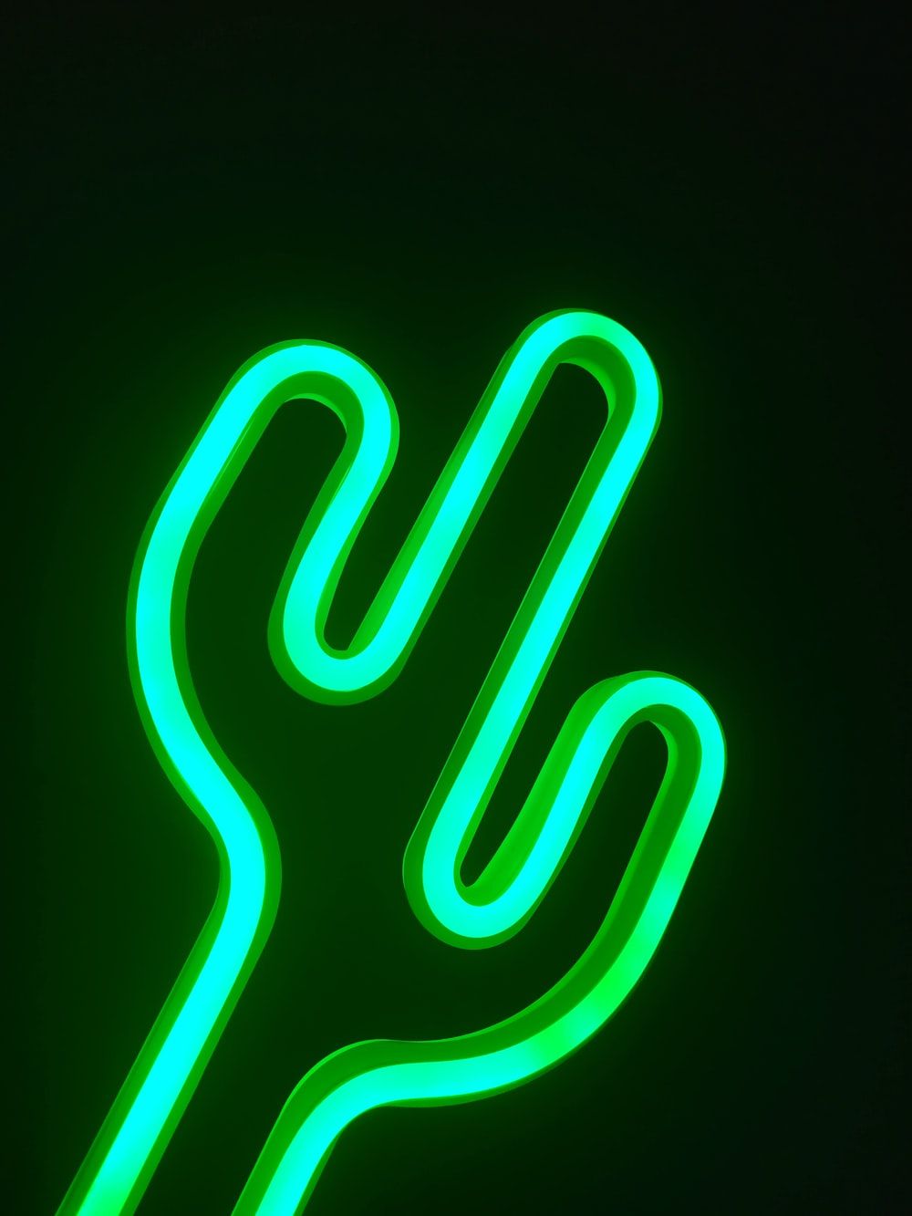 1000x1333 Green Neon Sign Picture