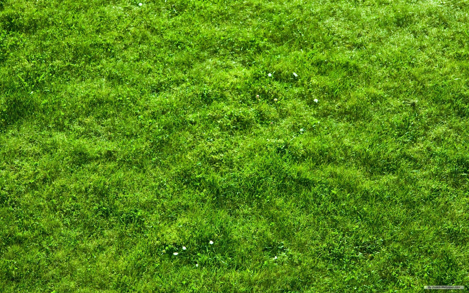 1920x1200 Free Wallpaper Free Nature Wallpaper Grass Football Pitches Wallpaper 1920x1200