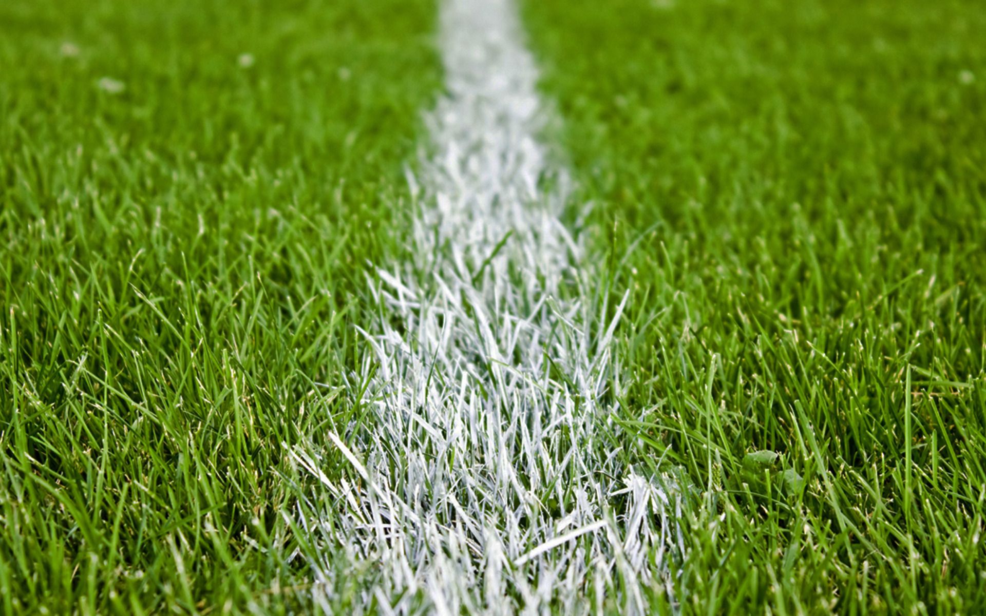 1920x1200 Football Grass Pitch