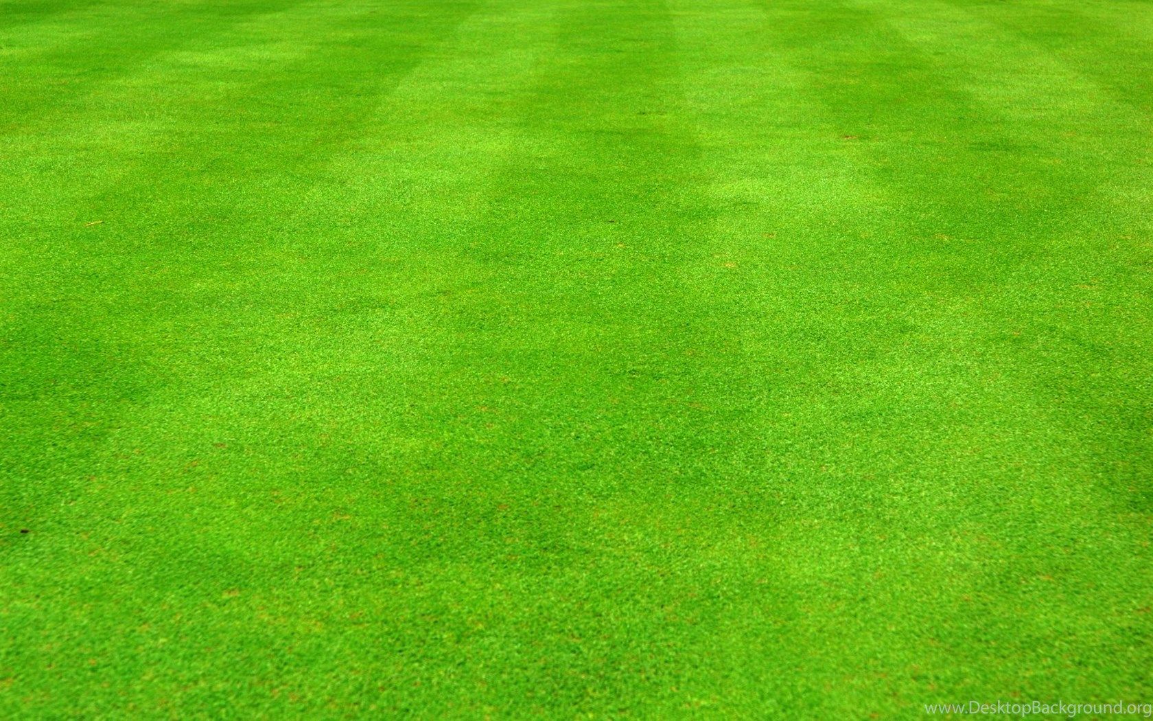 1680x1050 Grass Football Field Wallpaper Desktop Background