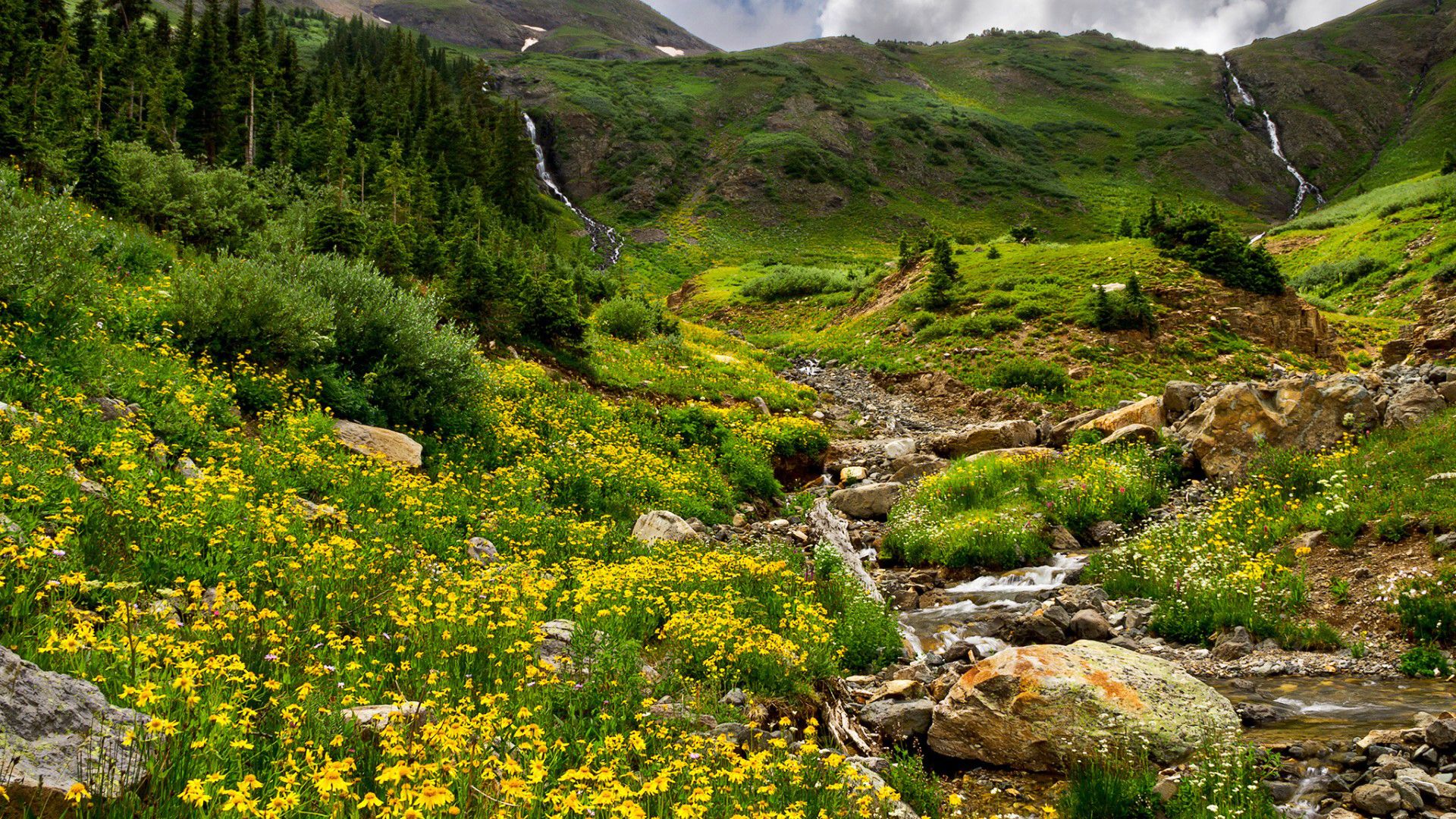 1920x1080 Yellow Mountain Flowers Wallpaper High Quality Image And Transparent Png Free Clipart