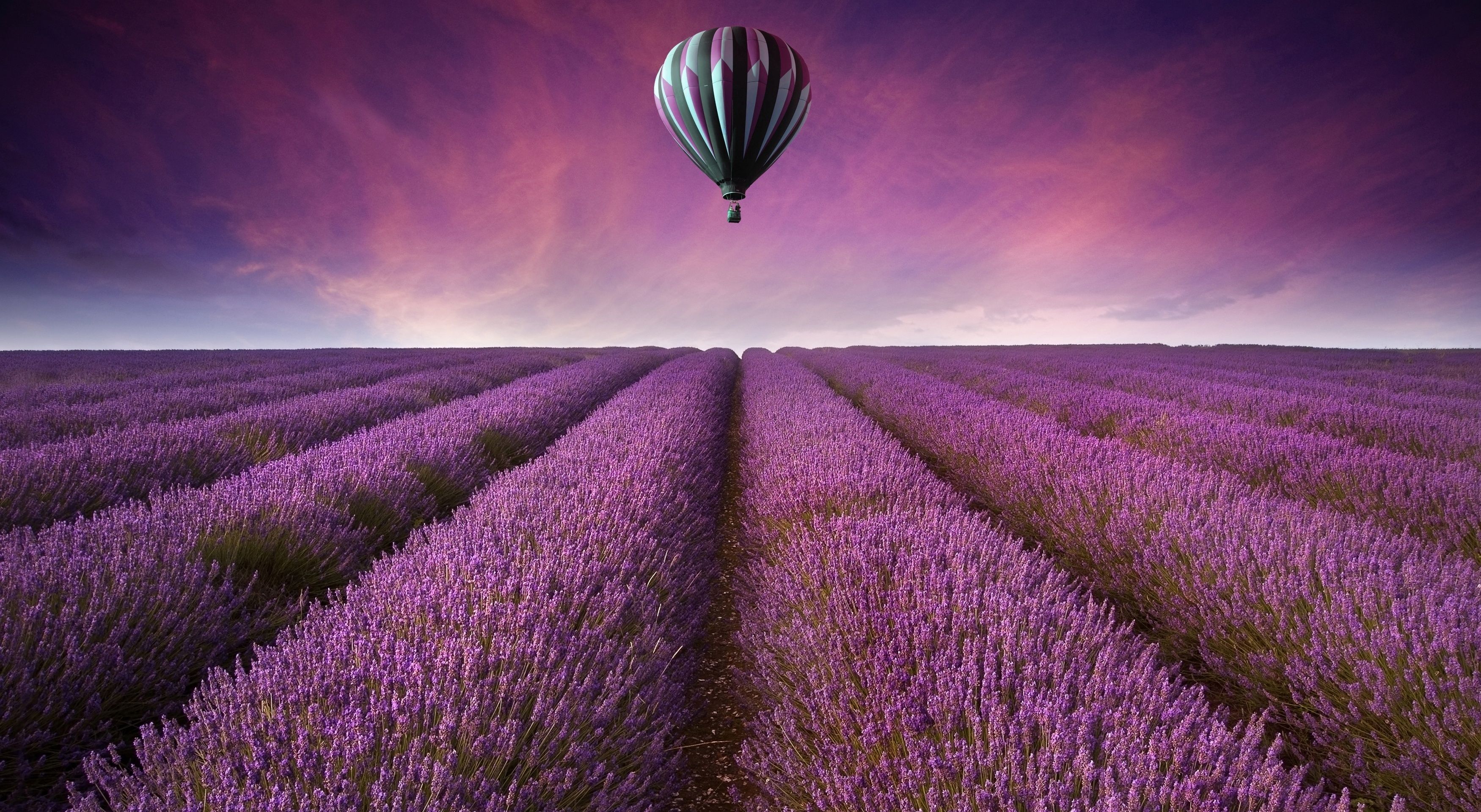 3500x1920 Lavender Hd Wallpaper And Background Image