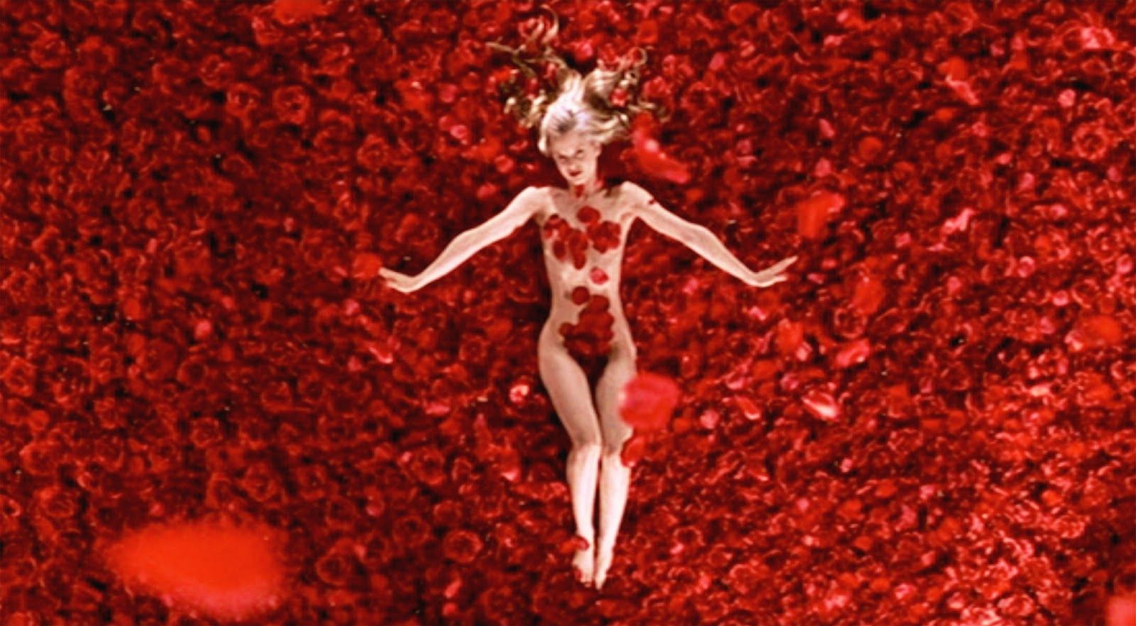 1600x882 American Beauty Wallpaper Movie Hq American Beauty Picture