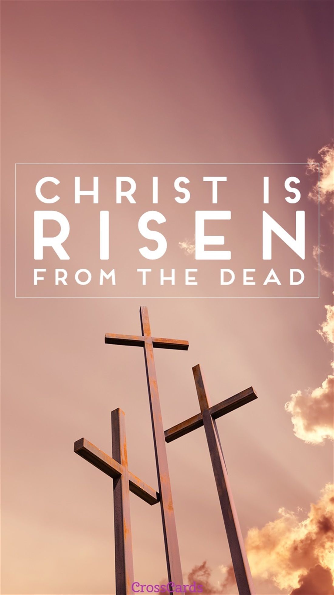 1100x1957 Christ Is Risen Phone Wallpaper And Mobile Background