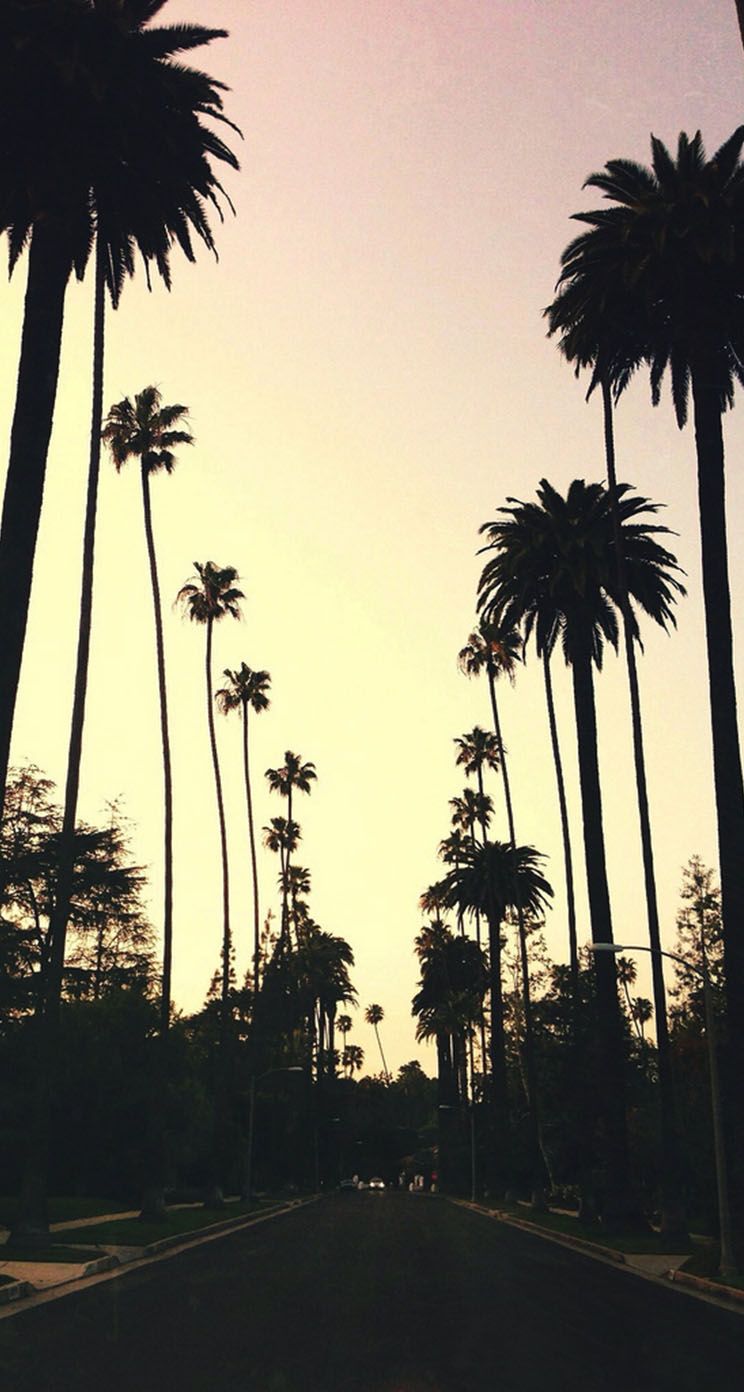 744x1392 The Iphone Wallpaper Beverly Hills