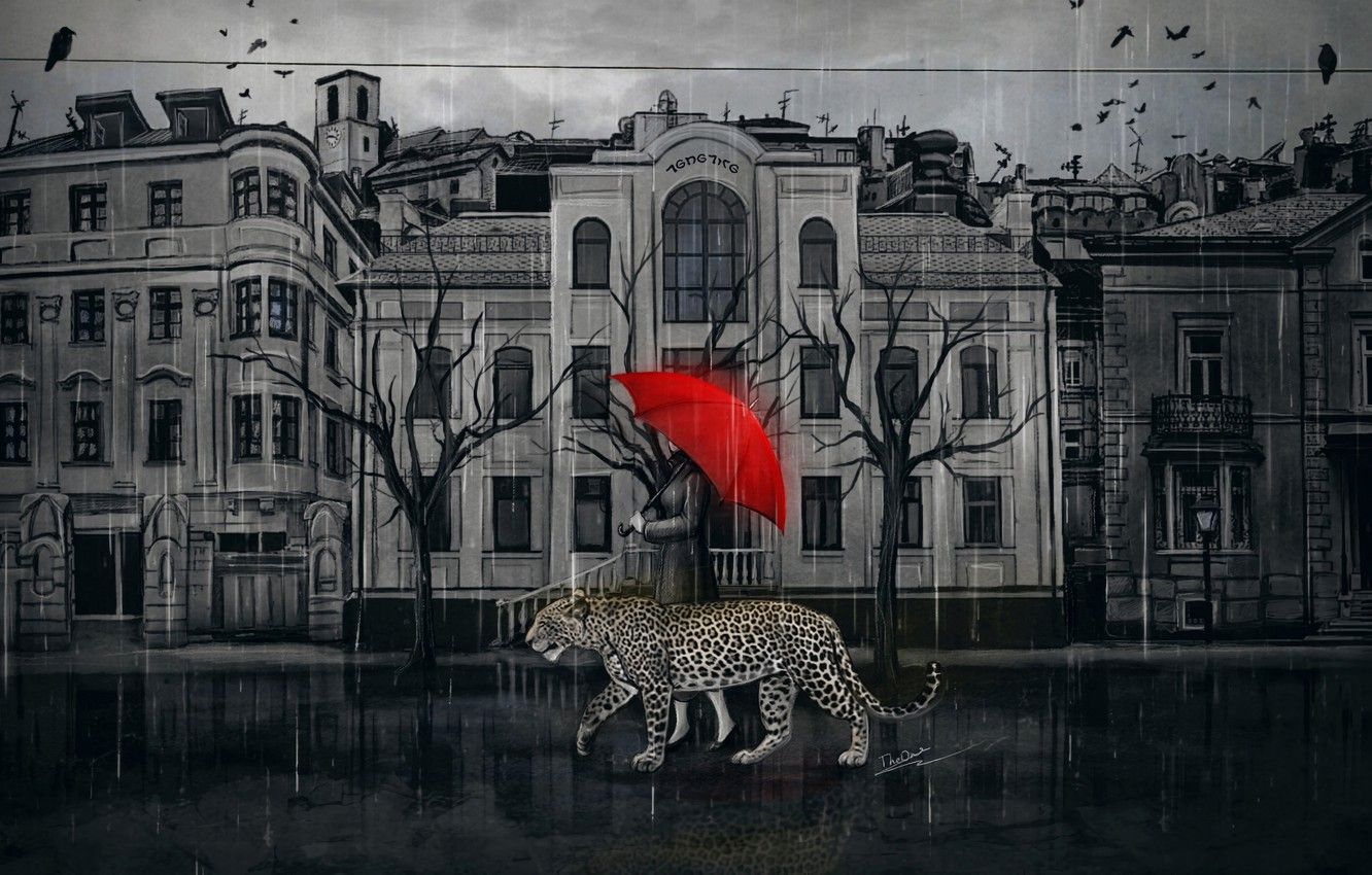 1332x850 Wallpaper City Red Girl Rain Leopard Digital Animals Umbrella Art Birds Painting Walk Reflection Buildings Artwork Raining Image For Desktop Section 1072 1088 1090