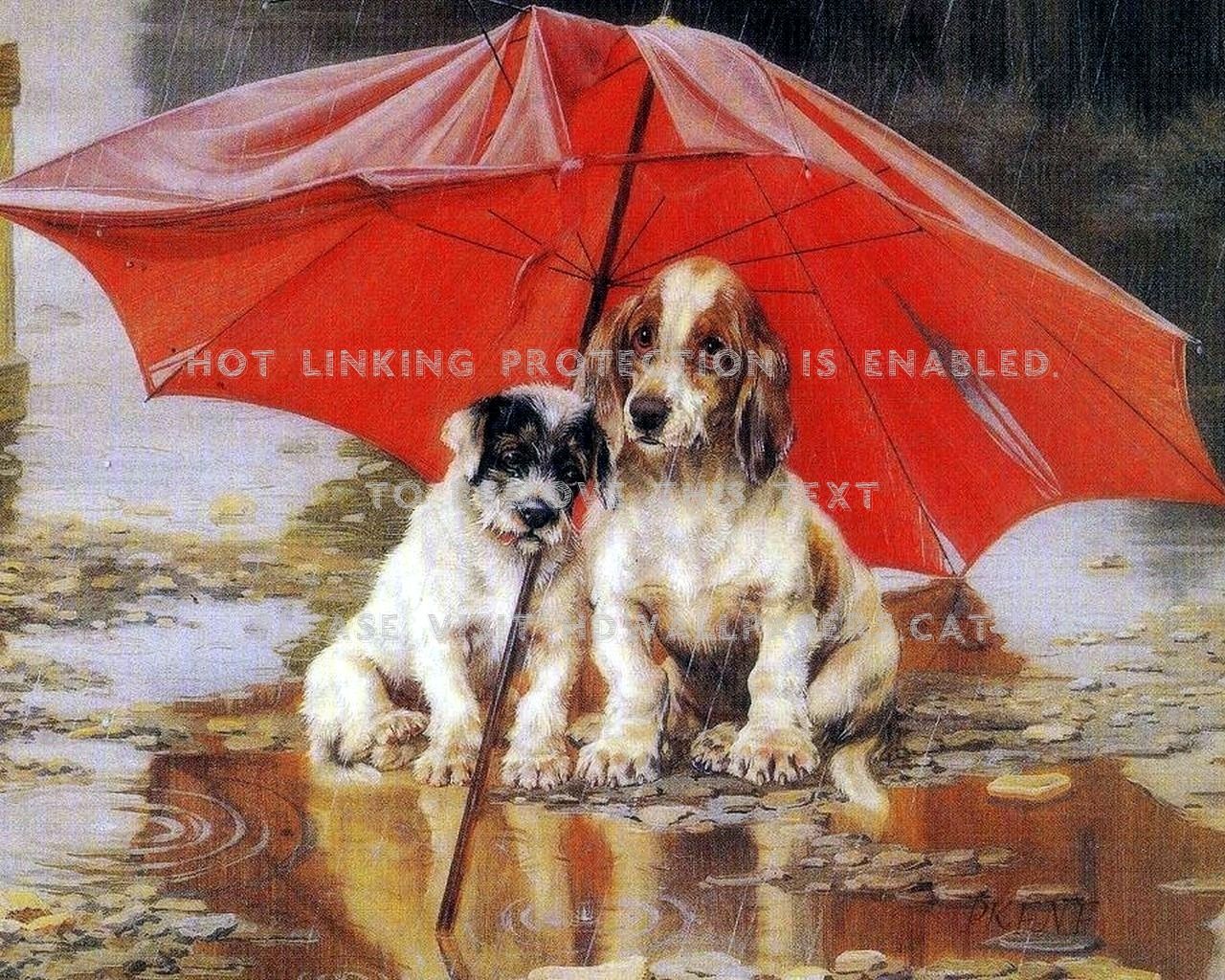 1280x1024 Dogs In The Rain Paintings Animals Rainy