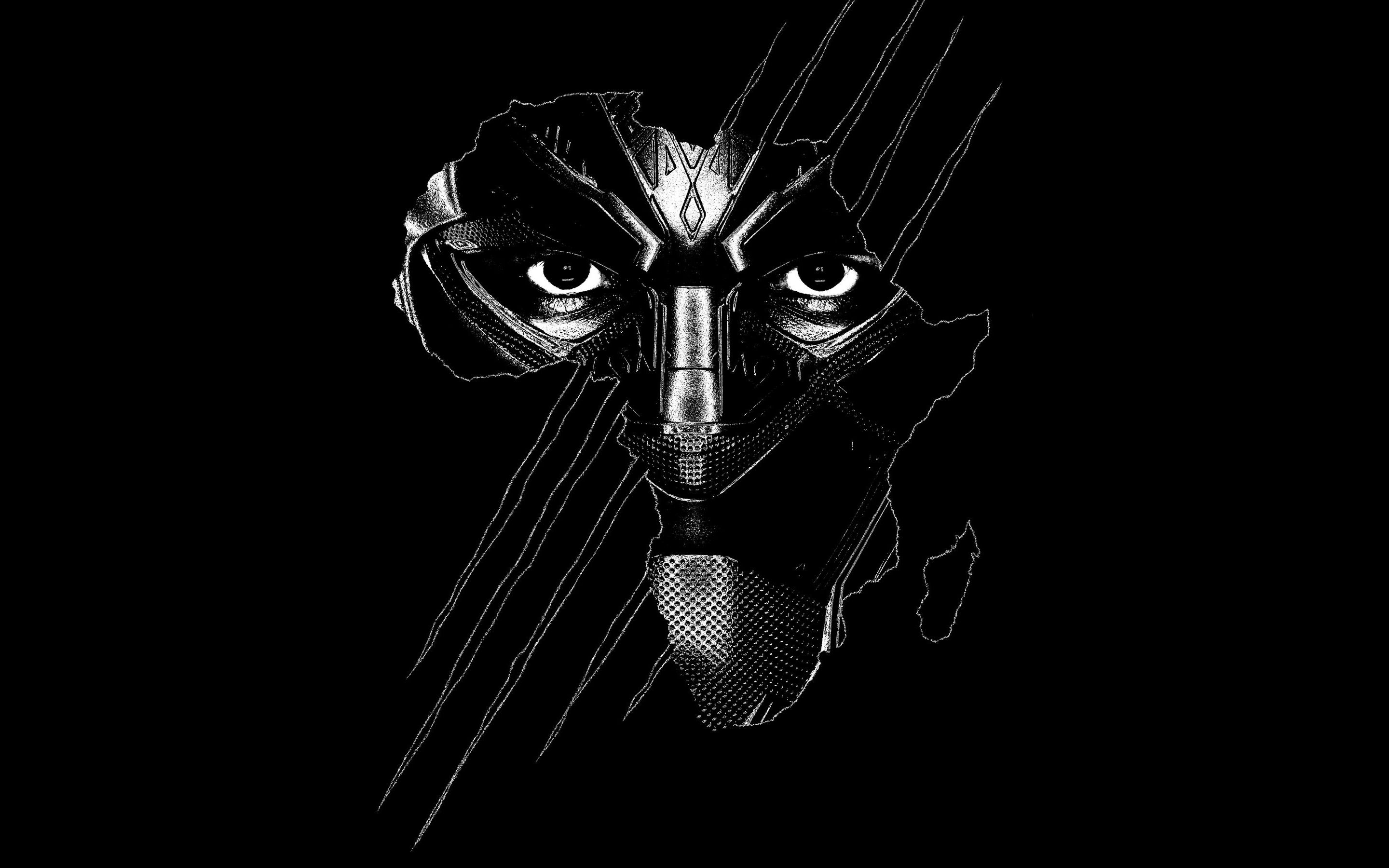 2880x1800 Black Panther Hd Wallpaper And Background Image