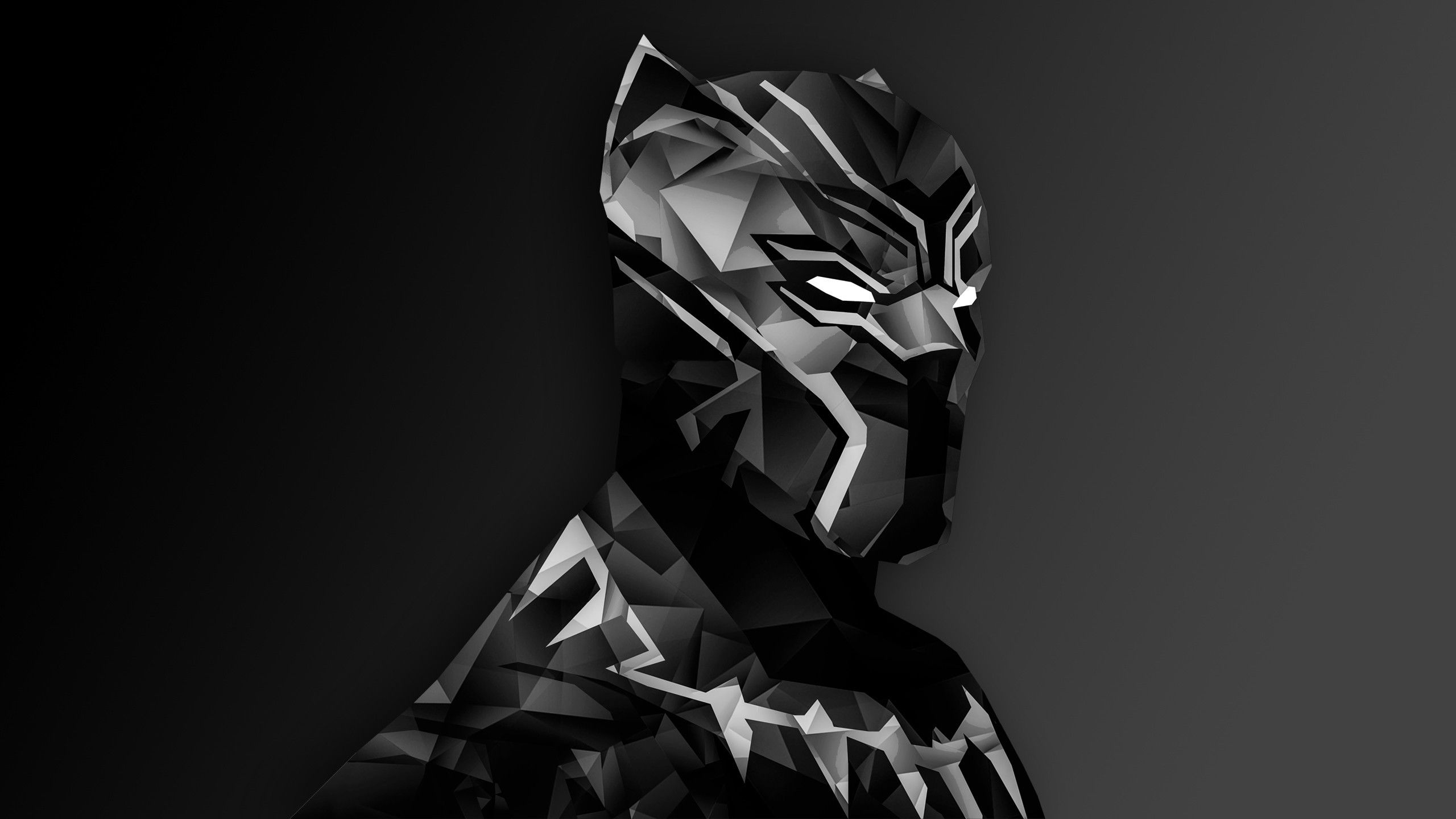 2560x1440 Top 10 Hd 1080p Black Panther Wallpaper