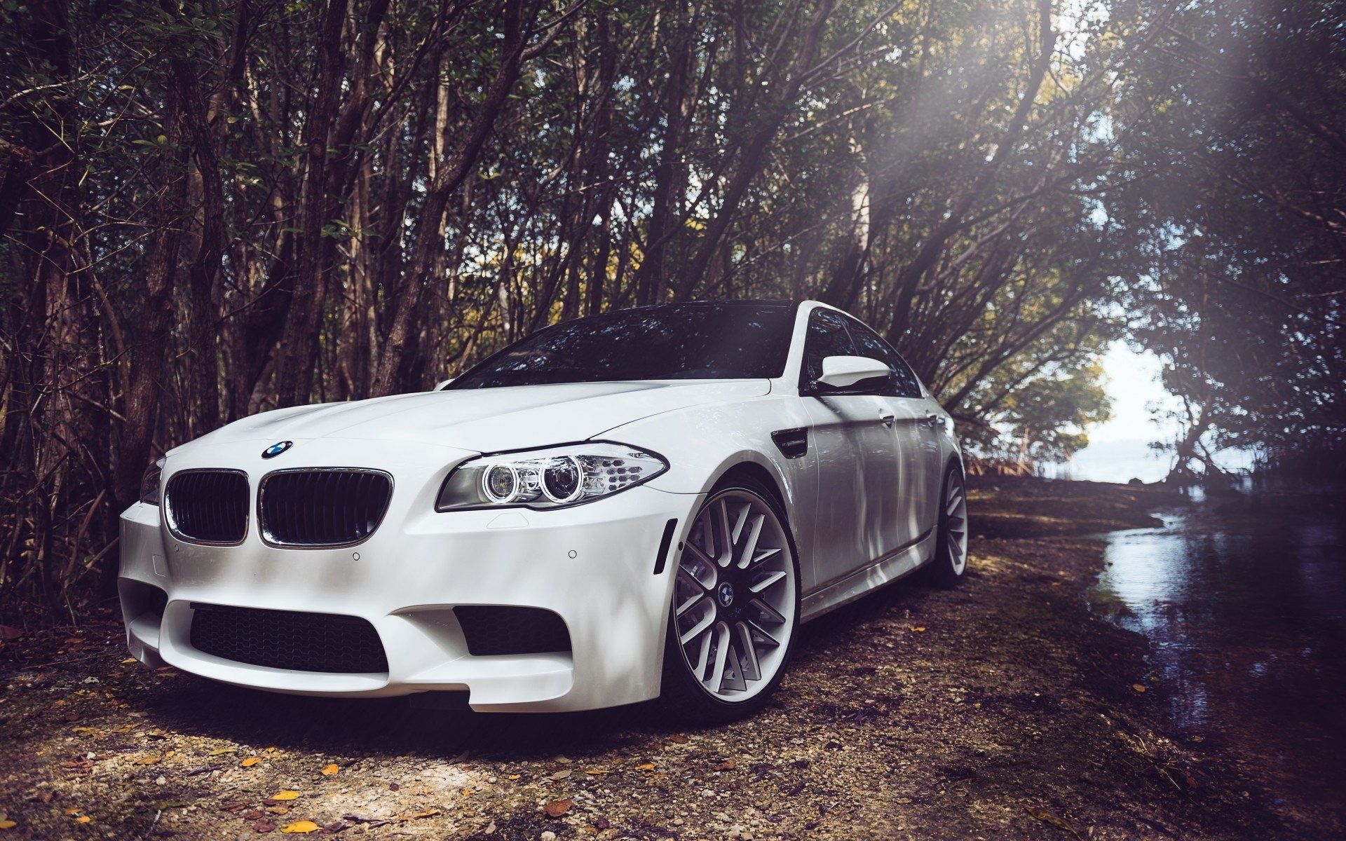 1920x1200 Bmw M5 Hd Wallpaper And Background Image