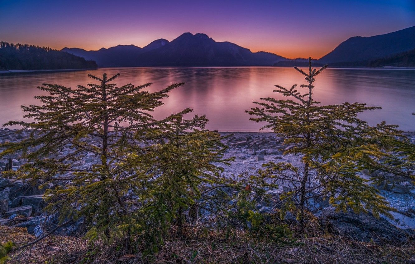 1332x850 Wallpaper Sunset Mountains Lake Germany Ate Bayern Tree Germany Bavaria Bavarian Alps The Bavarian Alps Lake Walchen Walchensee Walchensee Image For Desktop Section