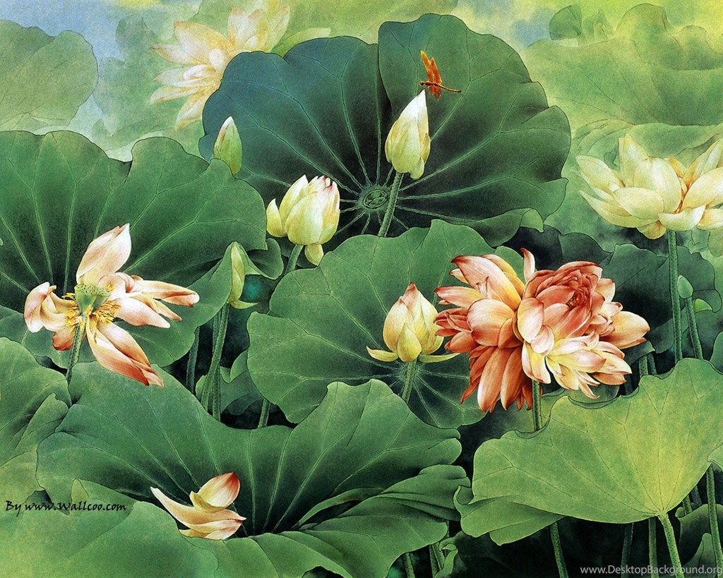 1024x819 Chinese Painting Lotus Flower Wallpaper Desktop Background