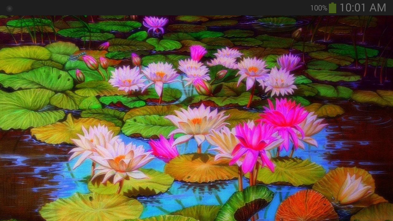 1280x720 Lotus Flower Wallpaper Appstore For Android