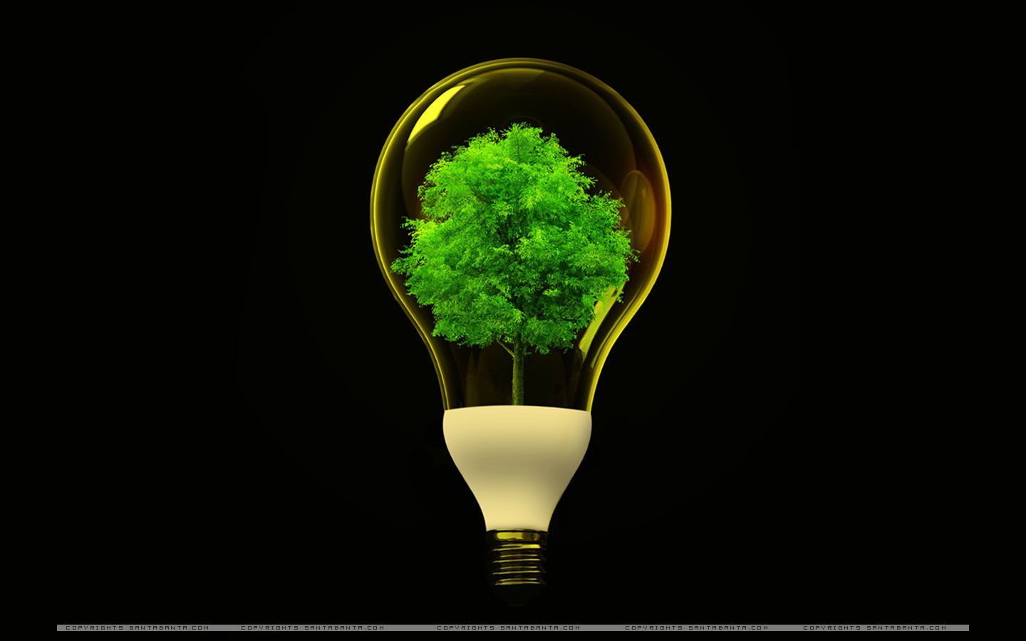1440x900 John Buckley On Green Energy Green Energy Design Plant Wallpaper Light Bulb Art
