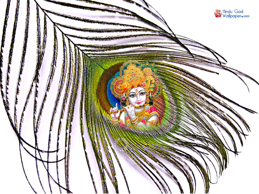 1024x768 Krishna Mor Pankh Wallpaper Hd Photo Download
