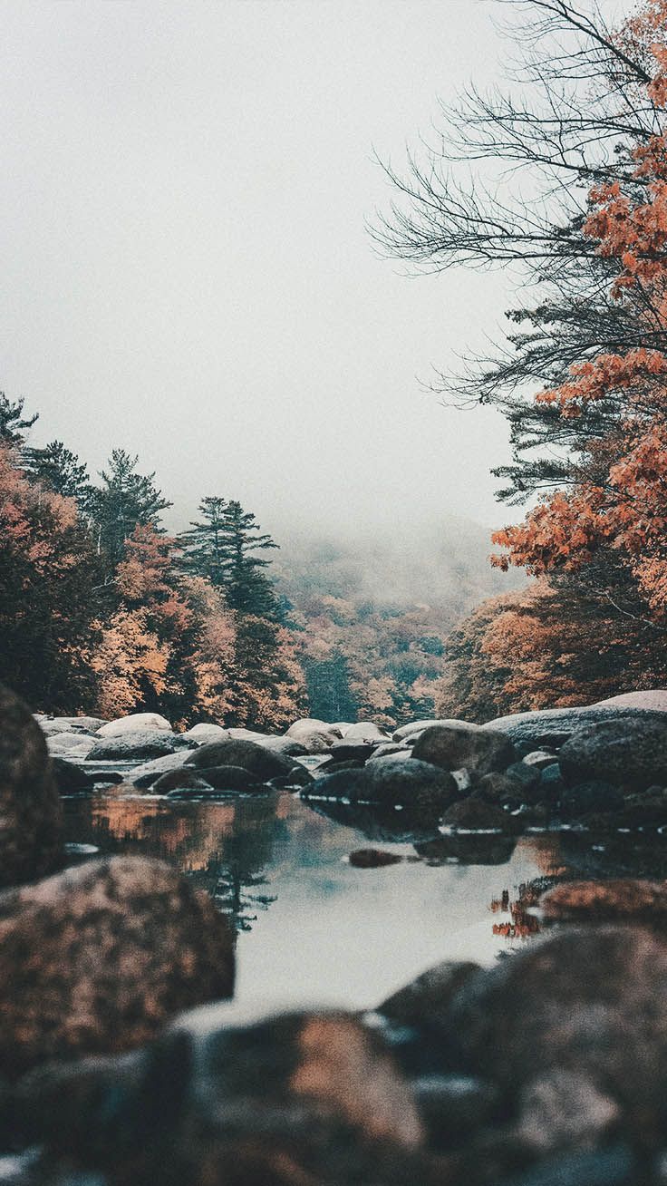 736x1308 Gorgeous Happy Fall Iphone X Wallpaper