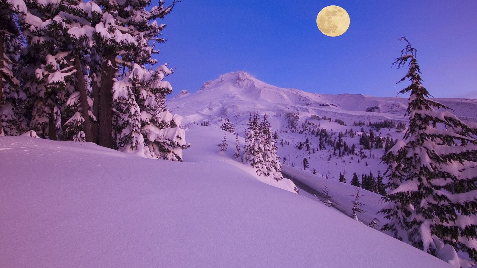 1600x900 Winter Snow Desktop Wallpaper Hd Luna Llena En La Nieve