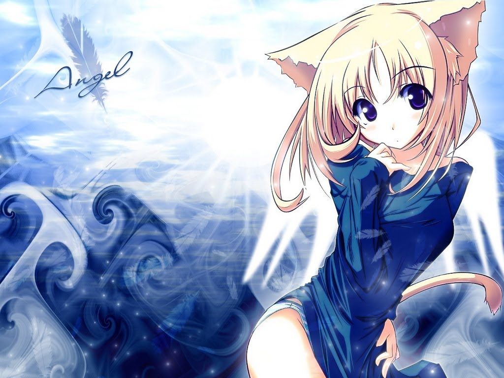 1024x768 Kawaii Anime Wallpaper Picture Kawaii Cat Girl Lt Wattpad 1024x768