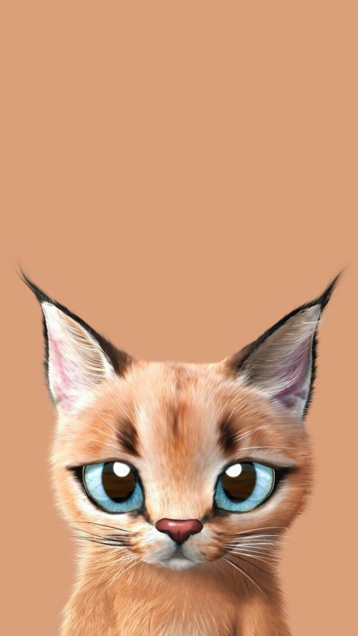 720x1280 Colours Picture Caracal Wallpaper