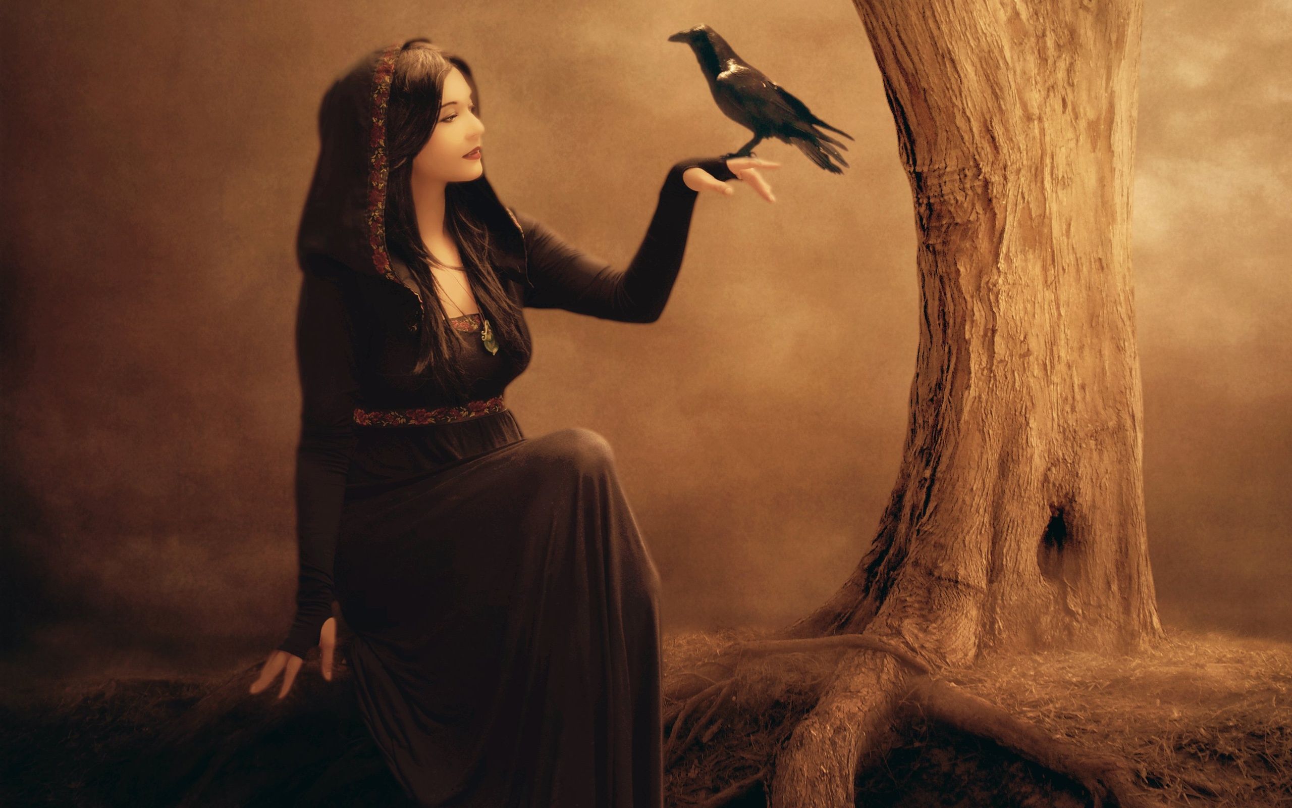 2560x1600 Wallpaper Beautiful Fantasy Girl Raven Tree Witch Black Dress 2560x1600 Hd Picture Image