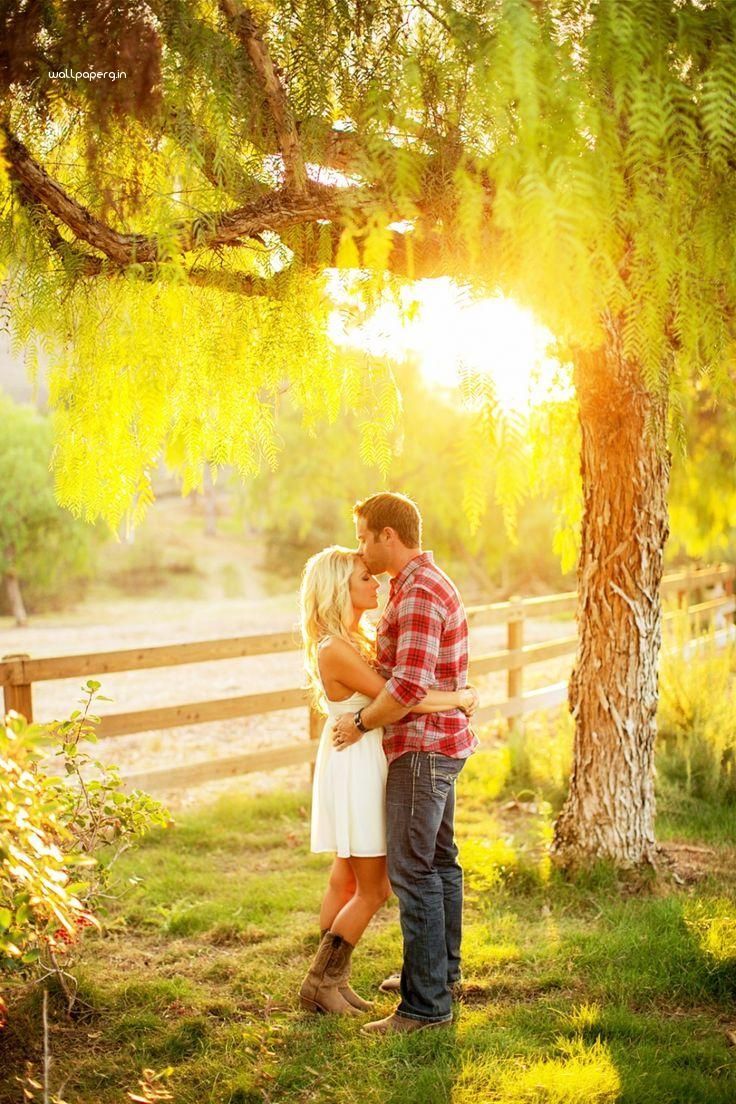736x1104 Download Kiss On Forehead Innocent Love Hd Wallpaper Hd Wallpaper For Mobile And De Outdoor Engagement Picture Summer Engagement Photos Engagement Picture