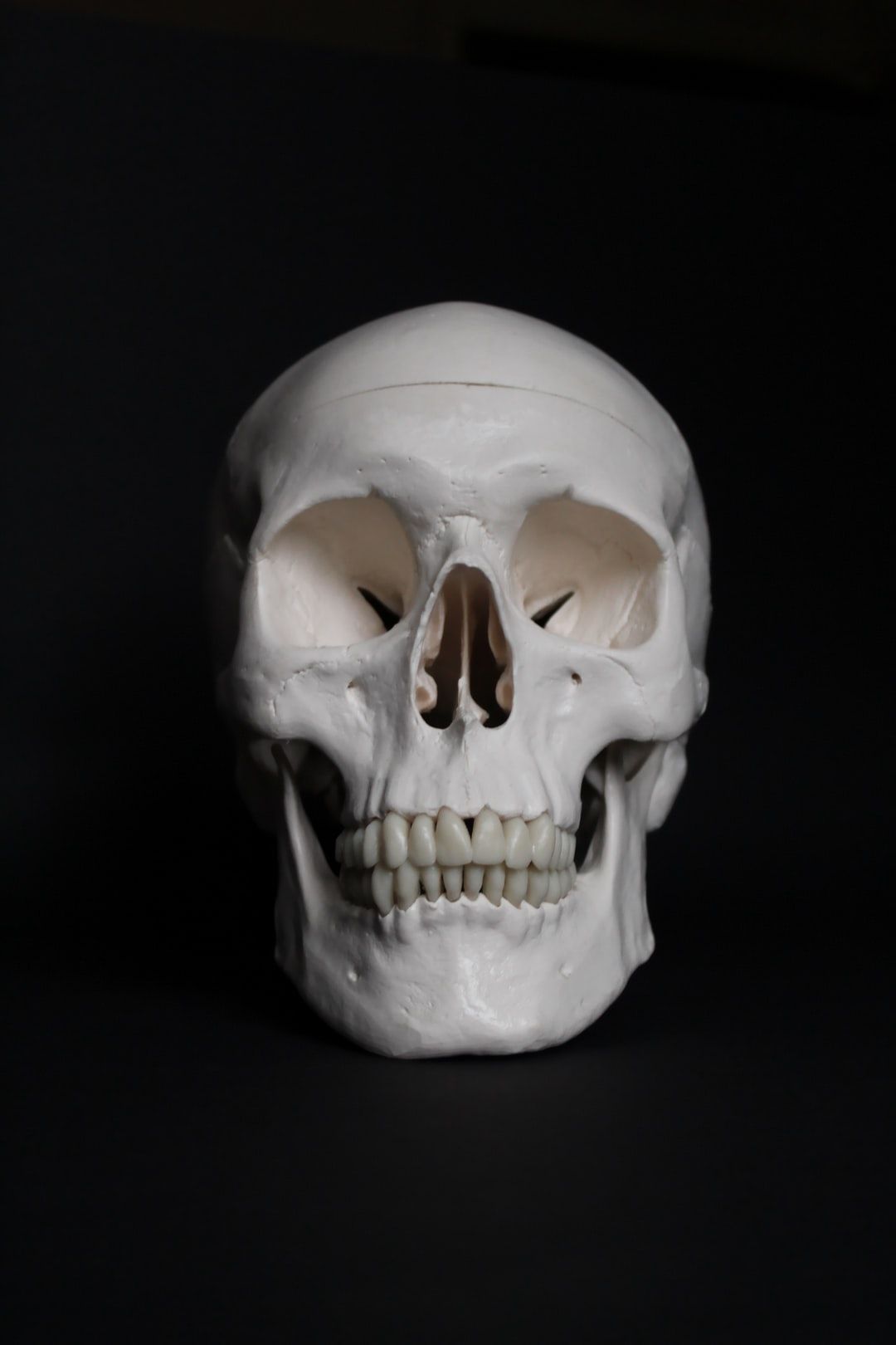 1080x1620 Skull Picture