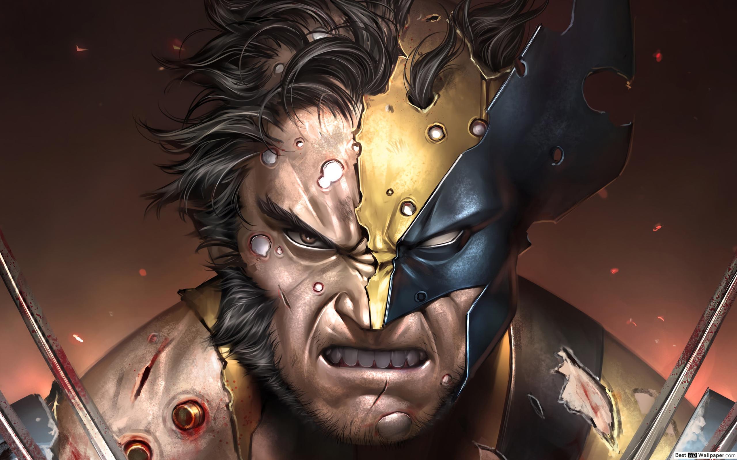 2560x1600 Super Hero Wolverine Comics Fanart Hd Wallpaper Download