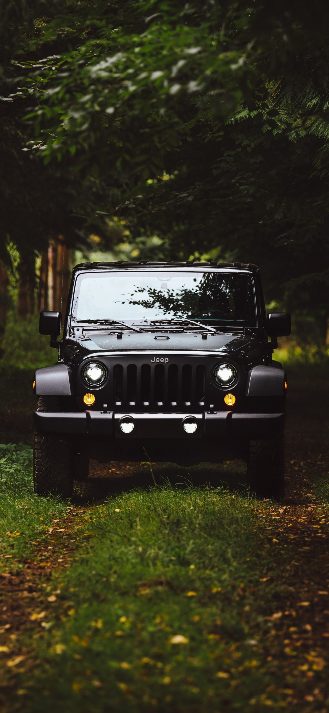 1125x2436 Download 1125x2436 Wallpaper Black Jeep Forest Jeep Wrangler Iphone X 1125x2436 Hd Image Background 2165