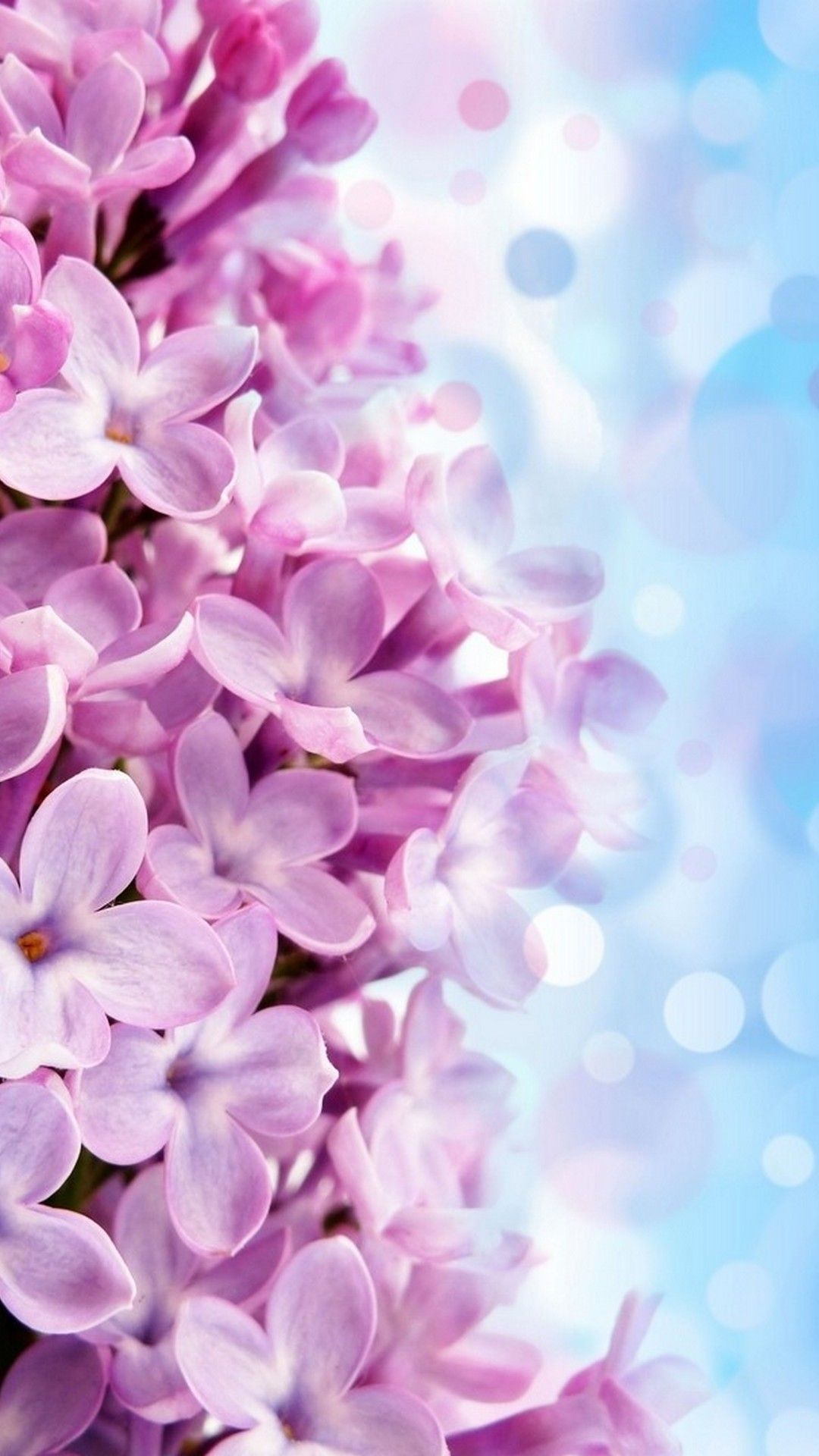 1080x1920 Iphone Wallpaper Hd Purple Flowers 2022 Cute Wallpaper
