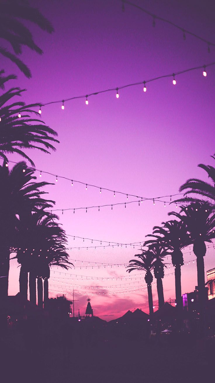 736x1308 Violet Iphone Wallpaper Collection6