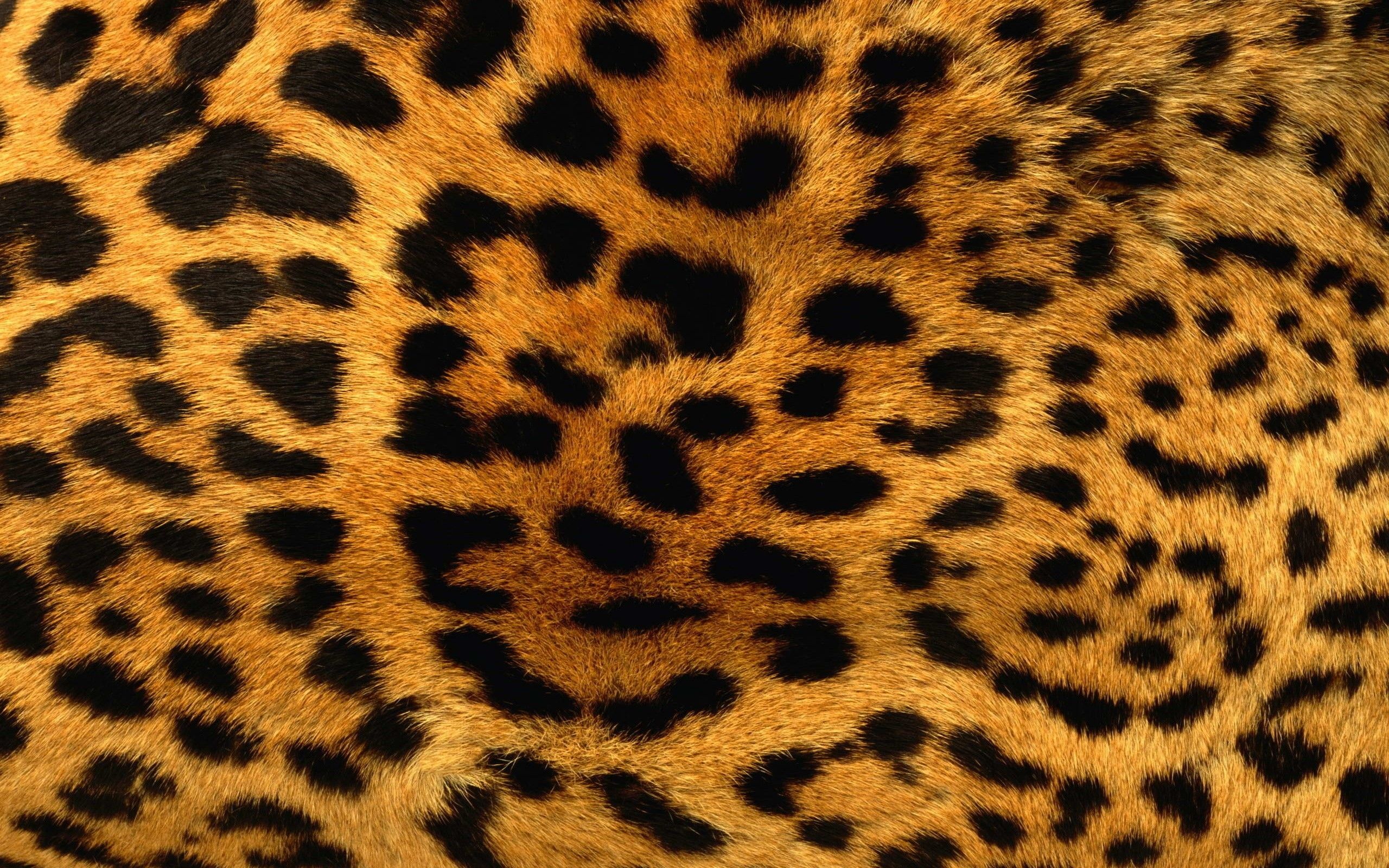 2560x1600 Download 2560x1600 Leopard Pattern Fur Wallpaper