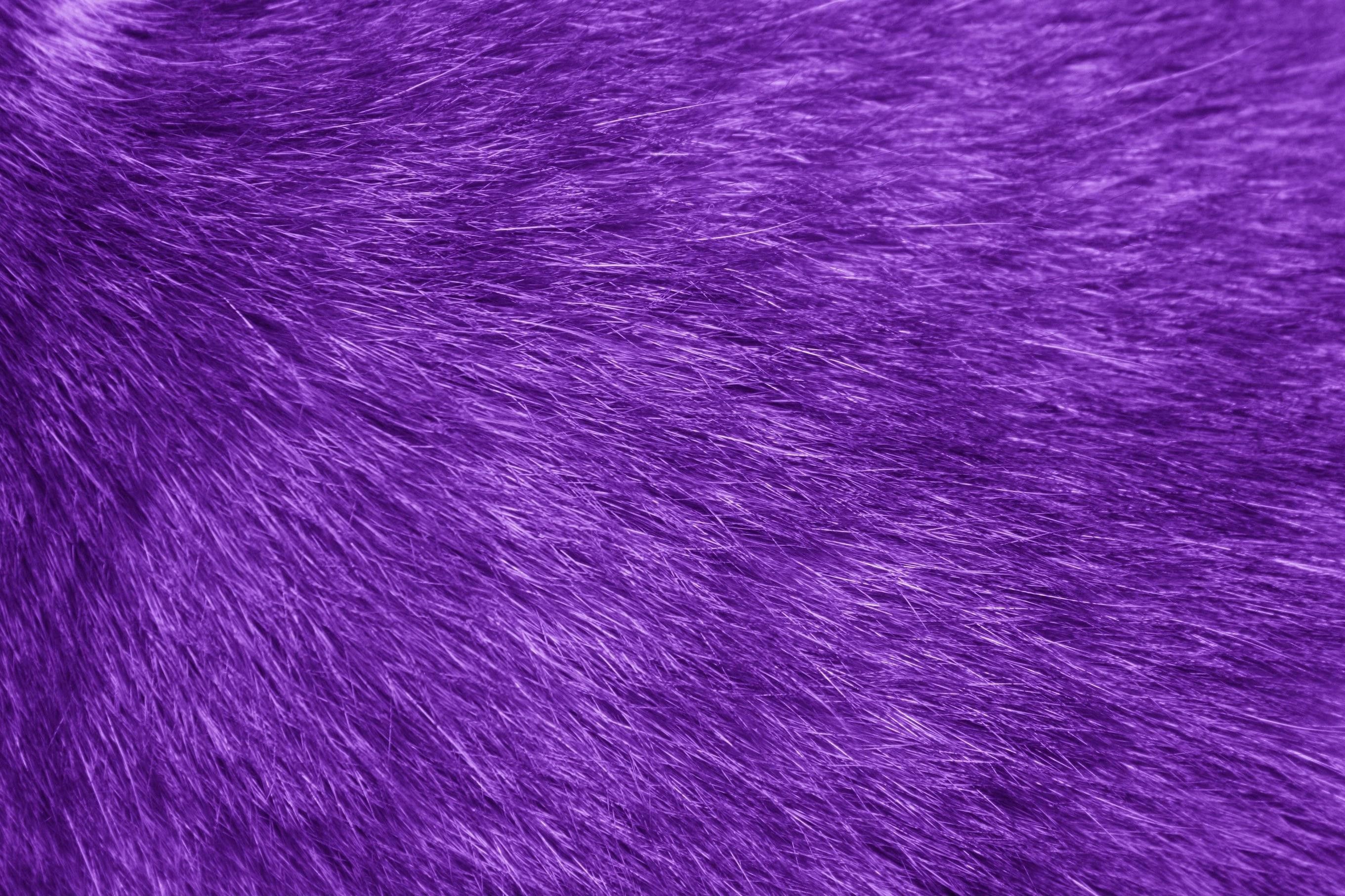 2722x1814 Purple Fur Wallpaper