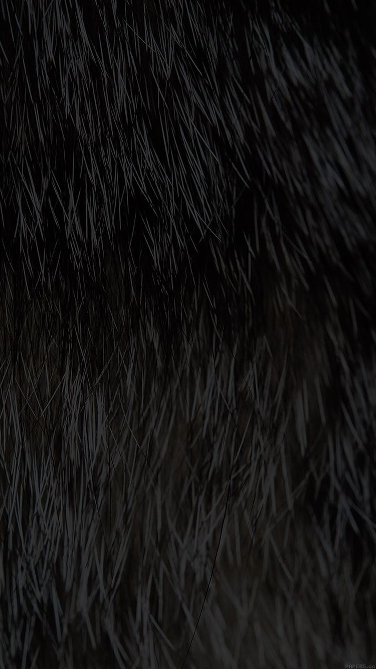 0x0 Wallpaper Cat Fur Rawrdis Black Pattern In 2019