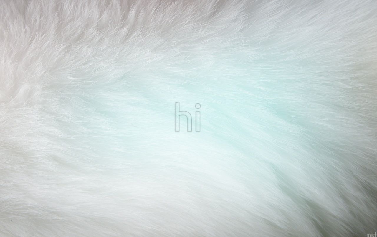 1280x804 Typography And Fur Wallpaper Typography And Fur Stock Photos