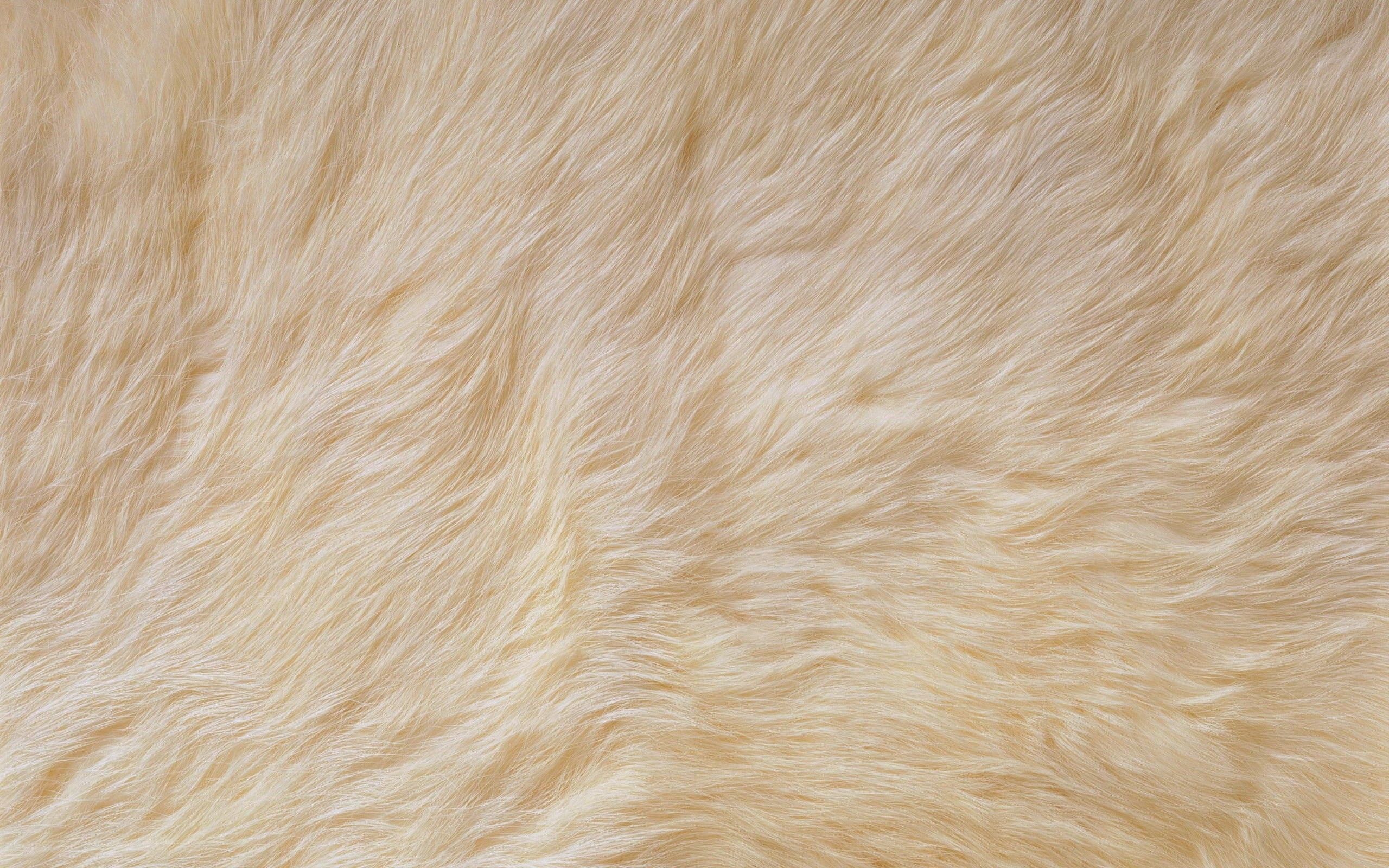 2560x1600 Pink Fur Wallpaper