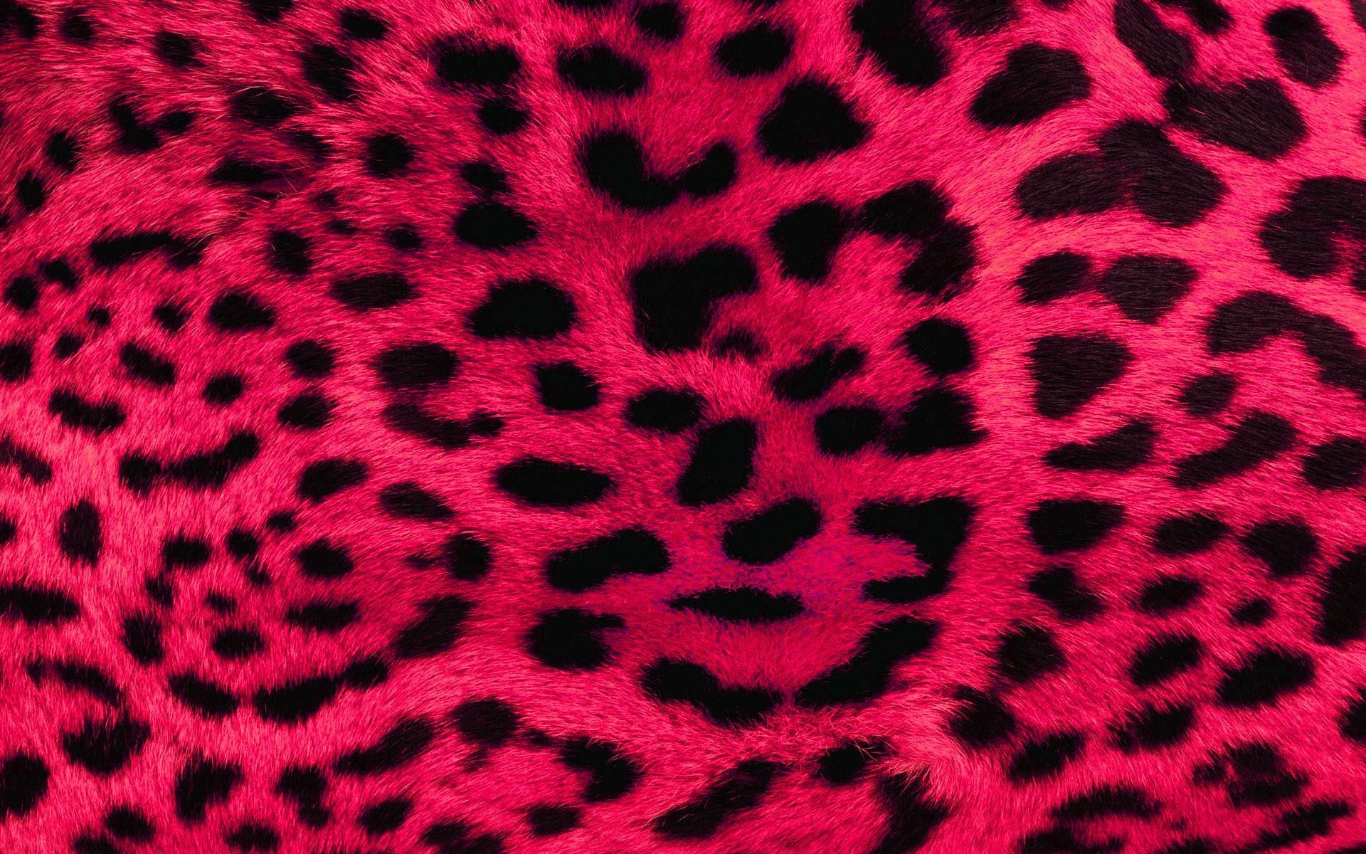 1920x1200 Pink Fur Wallpaper