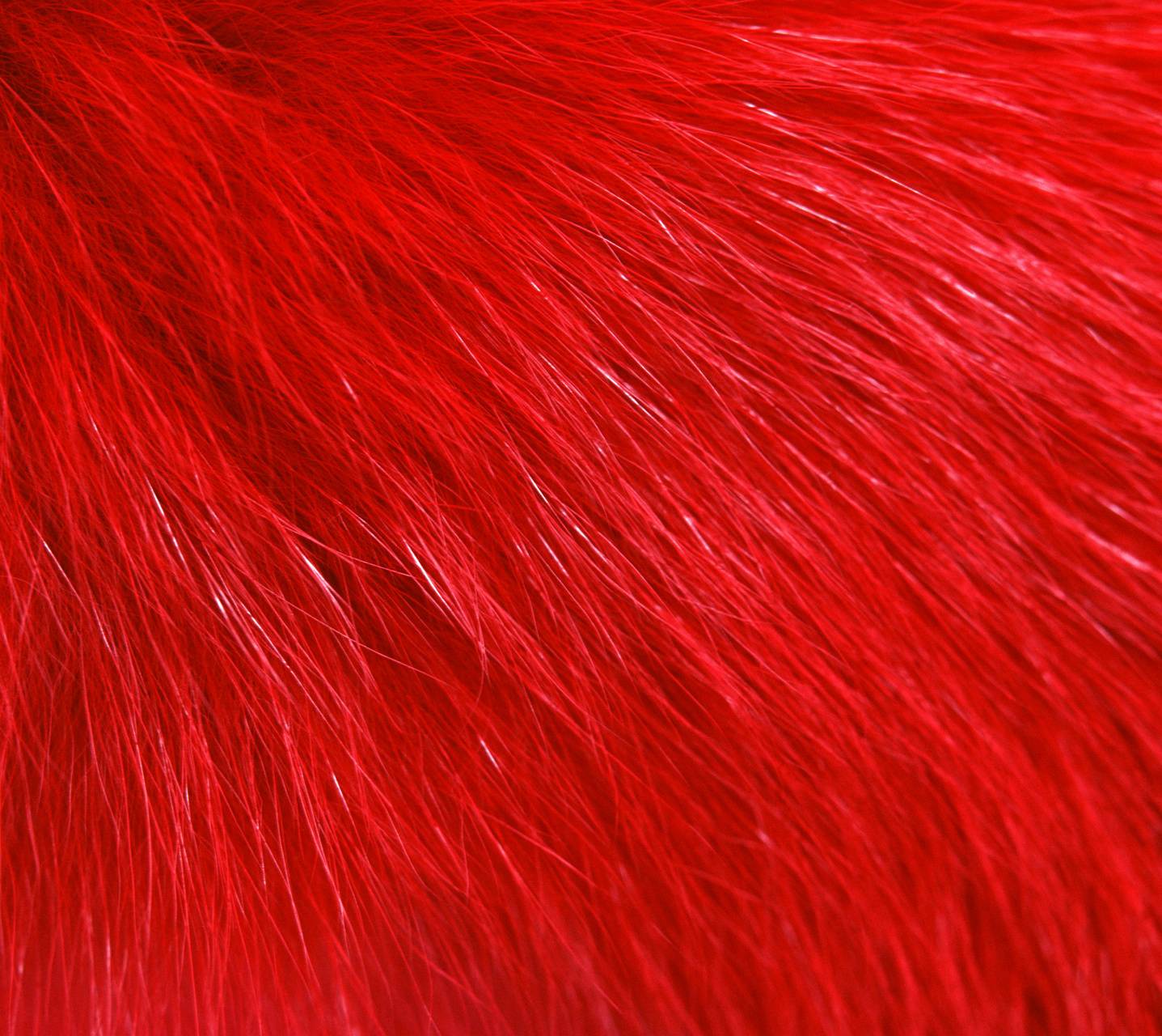 1437x1280 Red Fur Wallpaper