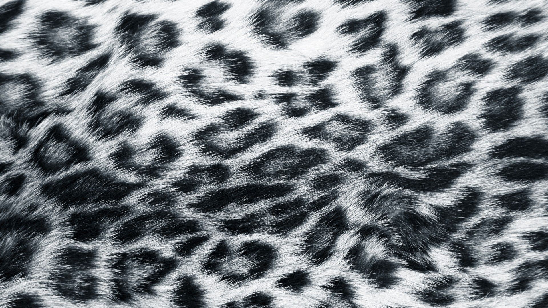 1920x1080 Leopard Fur Wallpaper