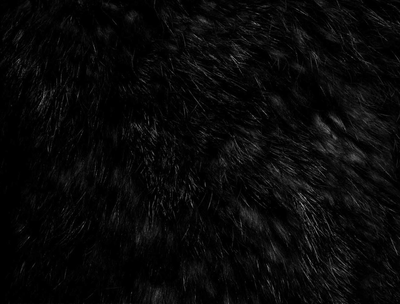 0x0 Black Fur Filtered Dark Side Of The Moon Fur