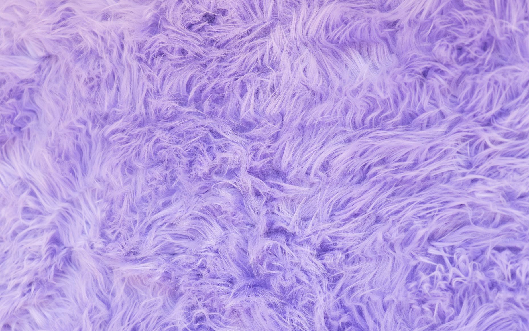 1856x1161 Fur Wallpaper
