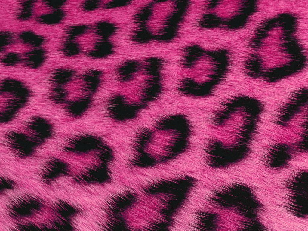 1024x768 Pink Fur Wallpaper