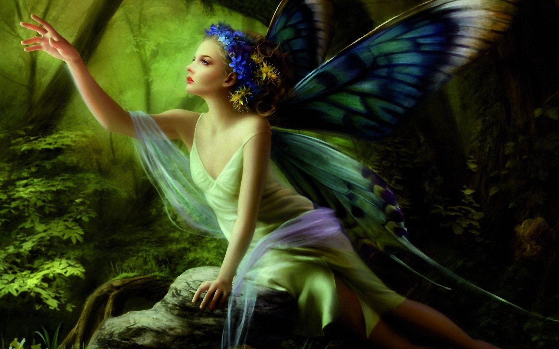 1920x1200 Beautiful Irish Fairy Butterfly Fairy 1920 X 1200 Download
